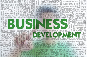 Business-Development